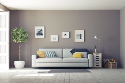 Living Room with Elegant Wall Colors